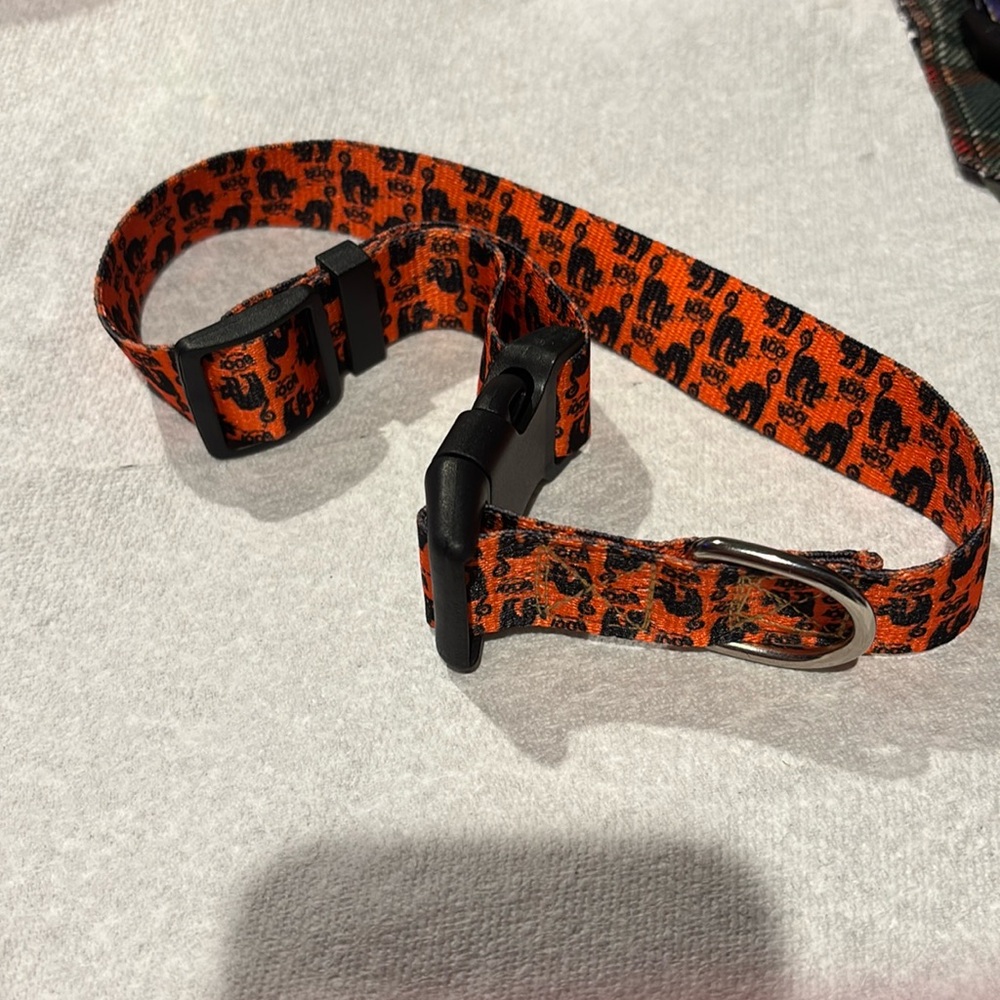Large- XL Halloween Dog or cat collar